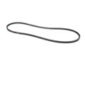 Product Image of Multi Cogged Drive Belt, BX61, S1-BX61