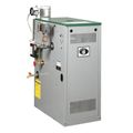 Product Image of 63-x-03 - 62,000 BTU Output Spark Ignition Packaged Residential Steam Boiler (Nat Gas)