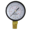 Product Image of 2" PEM Dual Scale Economy Pressure Gauge (0-15 PSI)