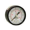 Product Image of 2" PEM Dual Scale Economy Pressure Gauge (0-300 PSI)