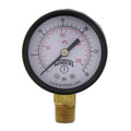 Product Image of 2" PEM Dual Scale Economy Pressure Gauge (0-30 PSI)