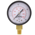 Product Image of 2" PEM Dual Scale Economy Pressure Gauge (0-200 PSI)