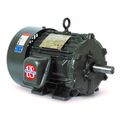 Product Image of HD10P1E General Purpose Motor