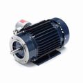 Product Image of C361A Explosion Proof Motor