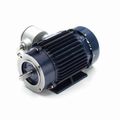 Product Image of C363A Explosion Proof Motor
