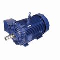 Product Image of E771 Severe Duty Motor