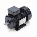 Product Image of R319A IEC Motor
