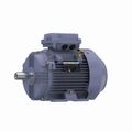 Product Image of R330B IEC Motor