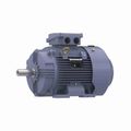 Product Image of R333B IEC Motor
