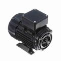 Product Image of R361 IEC Motor