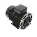 Product Image of R394A IEC Motor