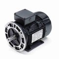 Product Image of R399A IEC Motor