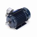 Product Image of U001A Explosion Proof Motor