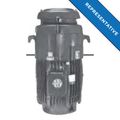 Product Image of NO25P2BE Vertical Solid Shaft Motor