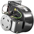 Product Image of Dayton 1tdp1 Direct Replacement, PTDP1