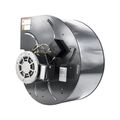 Product Image of Dayton 1tdu1 Direct Replacement Electric Motor, PTDU1