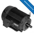Product Image of U10P1DCR General Purpose Motor