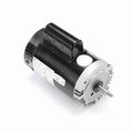 Product Image of B2975 Pool and Spa Motor