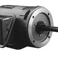 Product Image of P212M2 Close Coupled Pump Motor