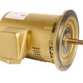 Product Image of R237M2A Pool and Spa Motor