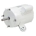 Product Image of WD13AA2PZ7 White Epoxy Washdown Motor