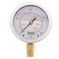 Product Image of 2-1/2" Stainless Steel Liquid Filled Gauge, 1/4" Bottom NPT w/ Brass Internals (0-400 PSI)
