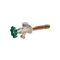 Product Image of C-144T 12" Anti-Siphon Wall Hydrant, 3/4" MPT x 1/2" FPT, Diamond