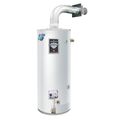 Product Image of RG2DV50H6X-SLD Parts - 48 Gallon - 48,000 BTU Defender Safety System Direct Vent Energy Saver Residential Water Heater, LP Gas (Solid)