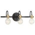 Product Image of Axle 3 Light Bath Vanity Light (Antique Bronze), P300191-020
