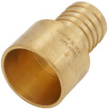 Product Image of 1-1/4" PEX x 1-1/4" Female Sweat Copper Pipe Brass Adapter (Lead Free)
