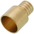 Product Image of 1" PEX x 1" Copper Pipe Brass Adapter (Lead Free)