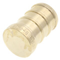 Product Image of 1/2" PEX DZR Brass Plug (Lead Free)