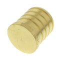 Product Image of 1" PEX Brass Plug (Lead Free)