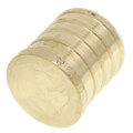 Product Image of 1" PEX DZR Brass Plug (Lead Free)