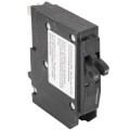 Product Image of QO Single Pole Miniature Tandem Circuit Breaker (120/240V, 15A)