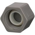 Product Image of 1/2" FPT QickTite Test Cap (Grey)