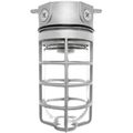 Product Image of 150W LED Industrial Area Fixture, Dark Bronze Finish, Stainless Steel Housing, VX100DG