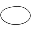Product Image of Sz 256 Neoprene O-Ring, RNG00070