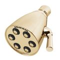 Product Image of Icon Anystream 6-jet Shower Head (Polished Bronze)