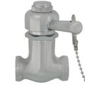 Product Image of Self-Closing Shower Valve w/ 7" Pull Chain (Chrome)