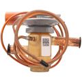Product Image of R-410a Txv, S1-02212996000