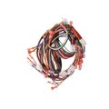 Product Image of Main Wiring Harness, S1-02543262000
