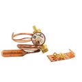 Product Image of Valve Thermal Expansion Valve Chat X Chat 81.4#, S1-02552061000
