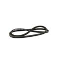 Product Image of Belt Drive Bx64 Pl=67, S1-02815948000