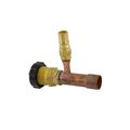 Product Image of 3/4" One-Shot Process Valve, S1-3924-3051
