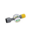 Product Image of Sight Glass Male Flare x Swivel, S1-SV-700468
