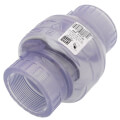 Product Image of 2" PVC Threaded Utility Swing Check Valve (Clear)