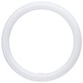 Product Image of LED Circline - 16 Watt T9 Bulb - 3000K/4000K/6500K CCT Selectable - G10q Base - 120-277 Volt (2 Pack)