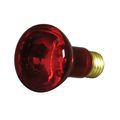 Product Image of 50 Watt R20 Incandescent Bulb - Red - 2000 Average rated hours - Medium base - 130 Volt (10 Pack)