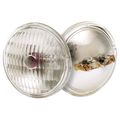 Product Image of 12 Watt Sealed Beam Bulb - PAR36 - 150 Average rated hours - Screw Terminal base - 6.4 Volt (2 Pack)